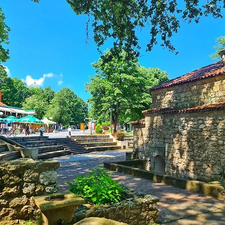 Aleksandra 2 5 Soko Banja