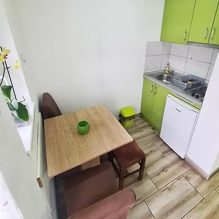 Aleksandra 2 5 Soko Banja